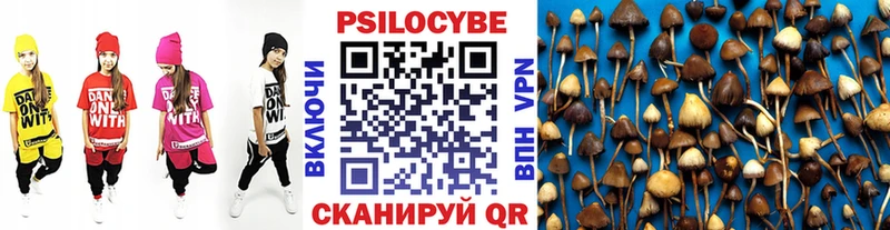 Купить  Тобольск  Галлюциногенные грибы прущие грибы 
